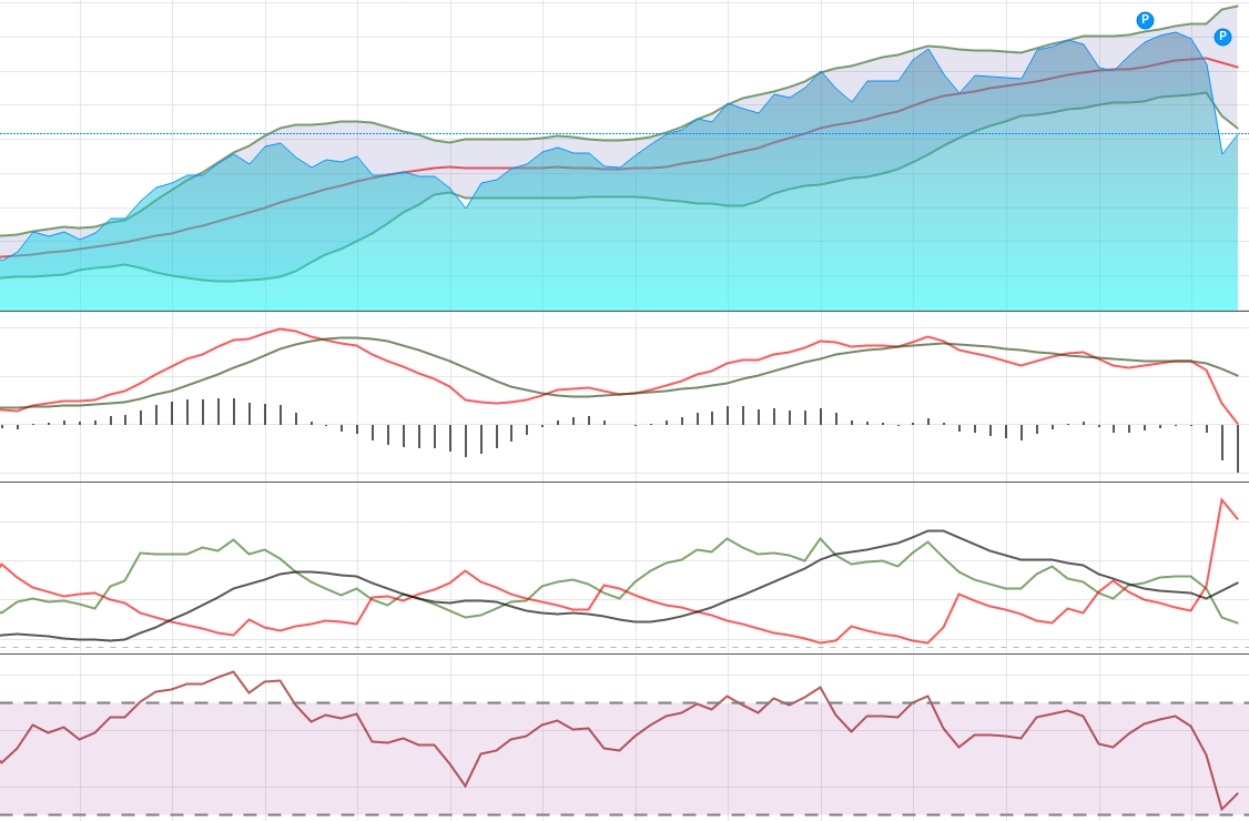 Is Current Nifty 50 & Sensex Rally an Up Trend or a Relief Rally ? This